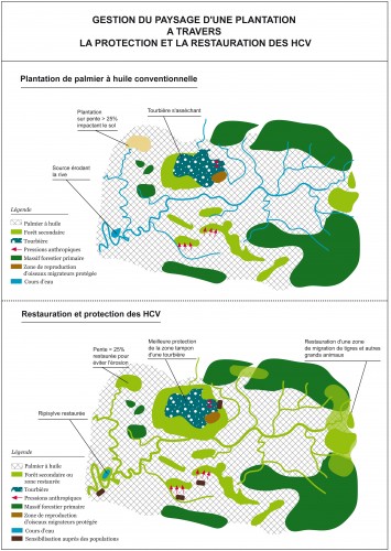 carte HCV 1 et 2.jpg
